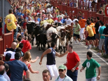 Encierros taurinos de Liétor Toros Lietor