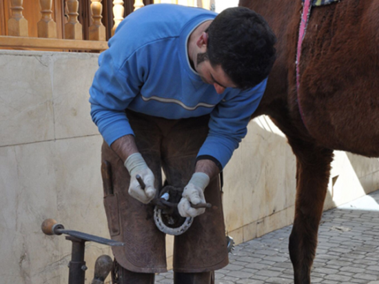Feria de la nuez de Nerpio