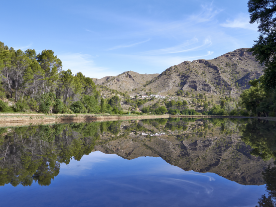 Paraje de la Longuera. Elche de la Sierra.   La Longuera