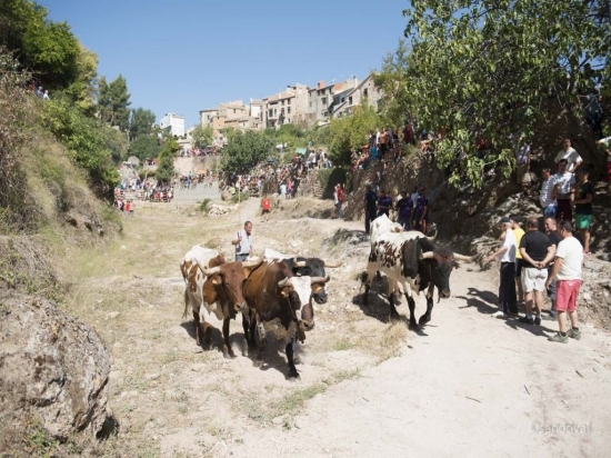 Encierros taurinos en la Sierra del Segura