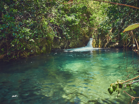 Charco Pataco Charco Pataco