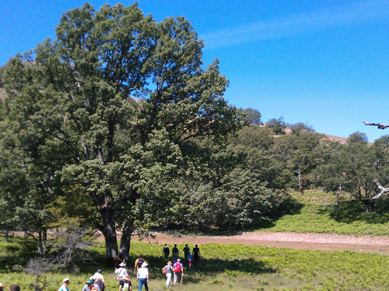 Parque Natural de los calares del mundo y de la sima Torca de los Melojos