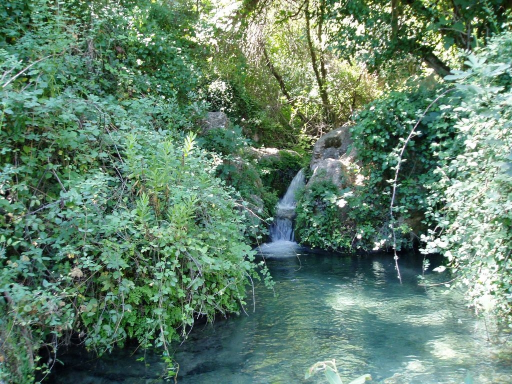 Charco Pataco