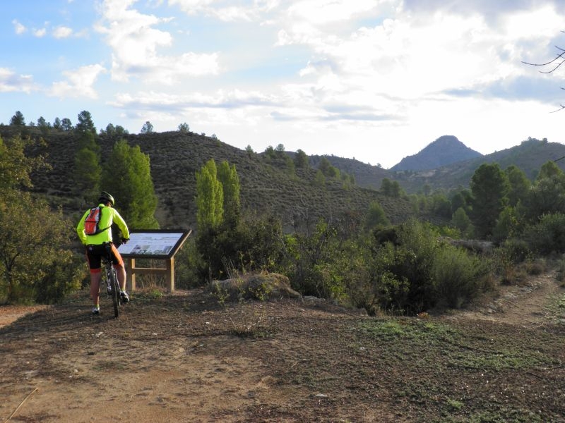 Paraje Arroyo de la Mora. Férez.  Arroyo de la Mora