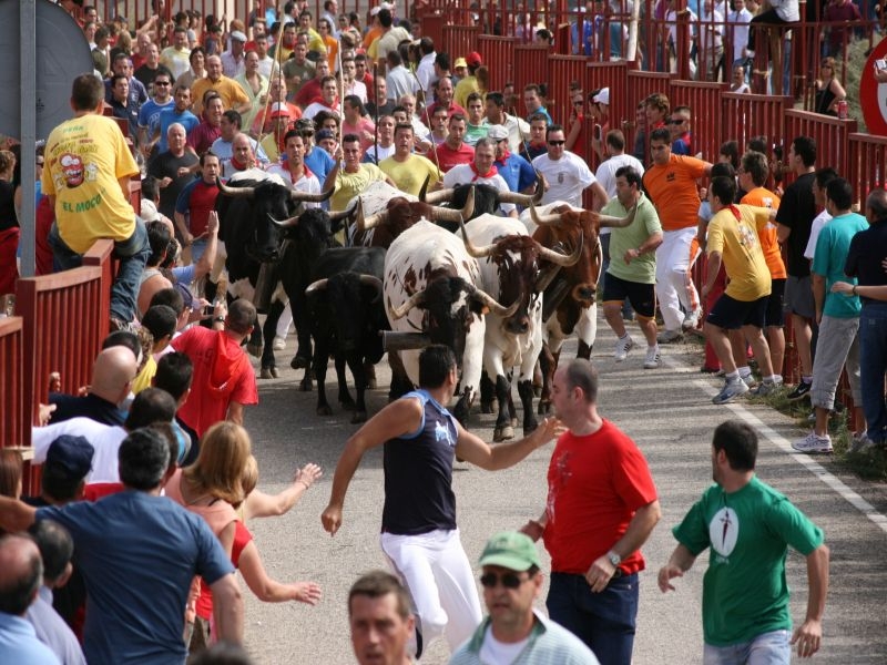 Encierros taurinos de Liétor Toros Lietor