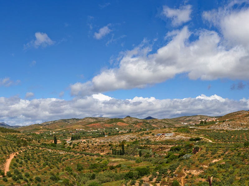 Castillo y mirador de Villares Mirador Villares