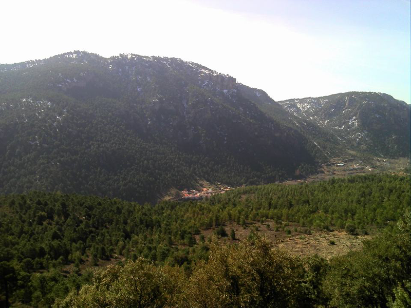 Alto del Bañadero. Paterna del Madera.  bañadero 2