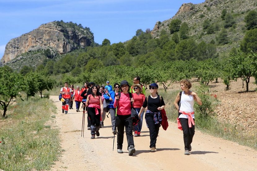 Red de senderos de Elche de la Sierra red