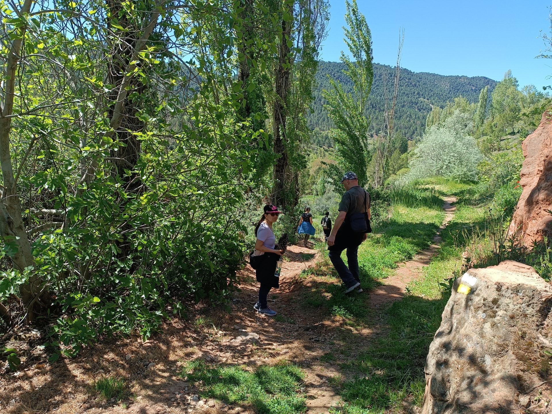 Red de senderos Verdenace. Paterna del Madera