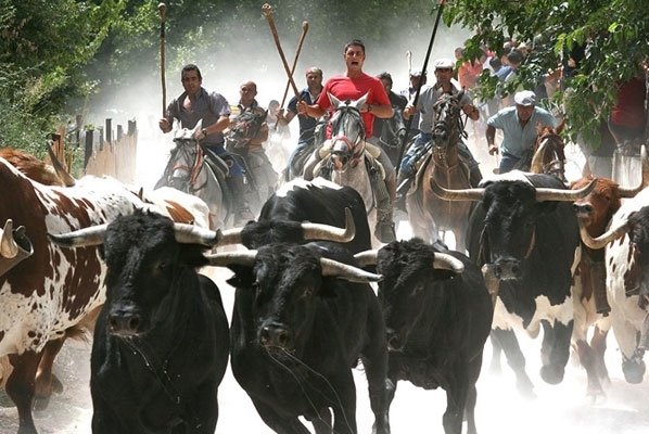 Fiestas y tradiciones