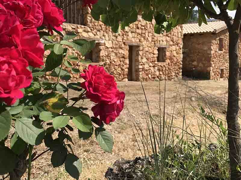 Cabañas Río Mundo