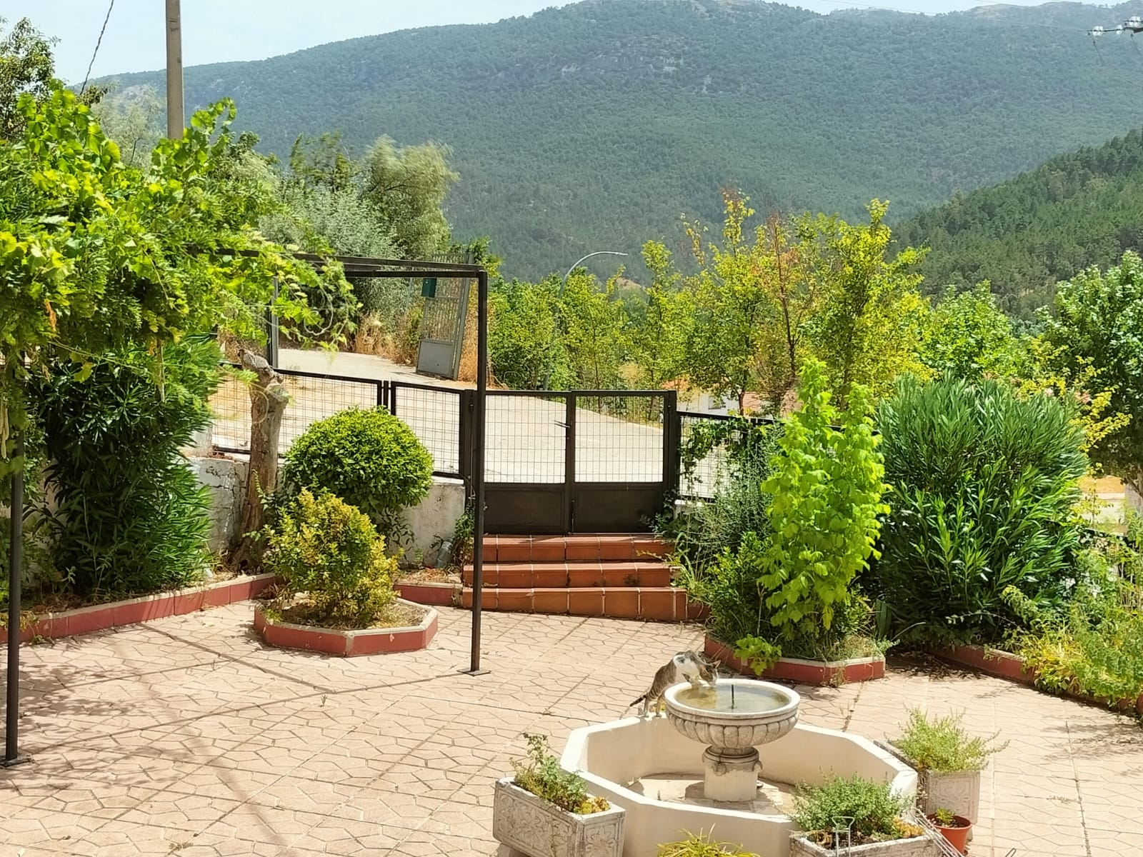 Casa Rural Juanito exterior