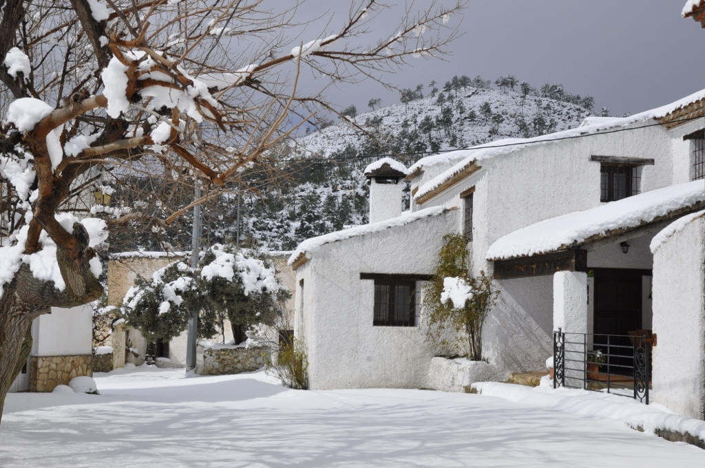 Casa Rural Tío Frasquito y Cleto