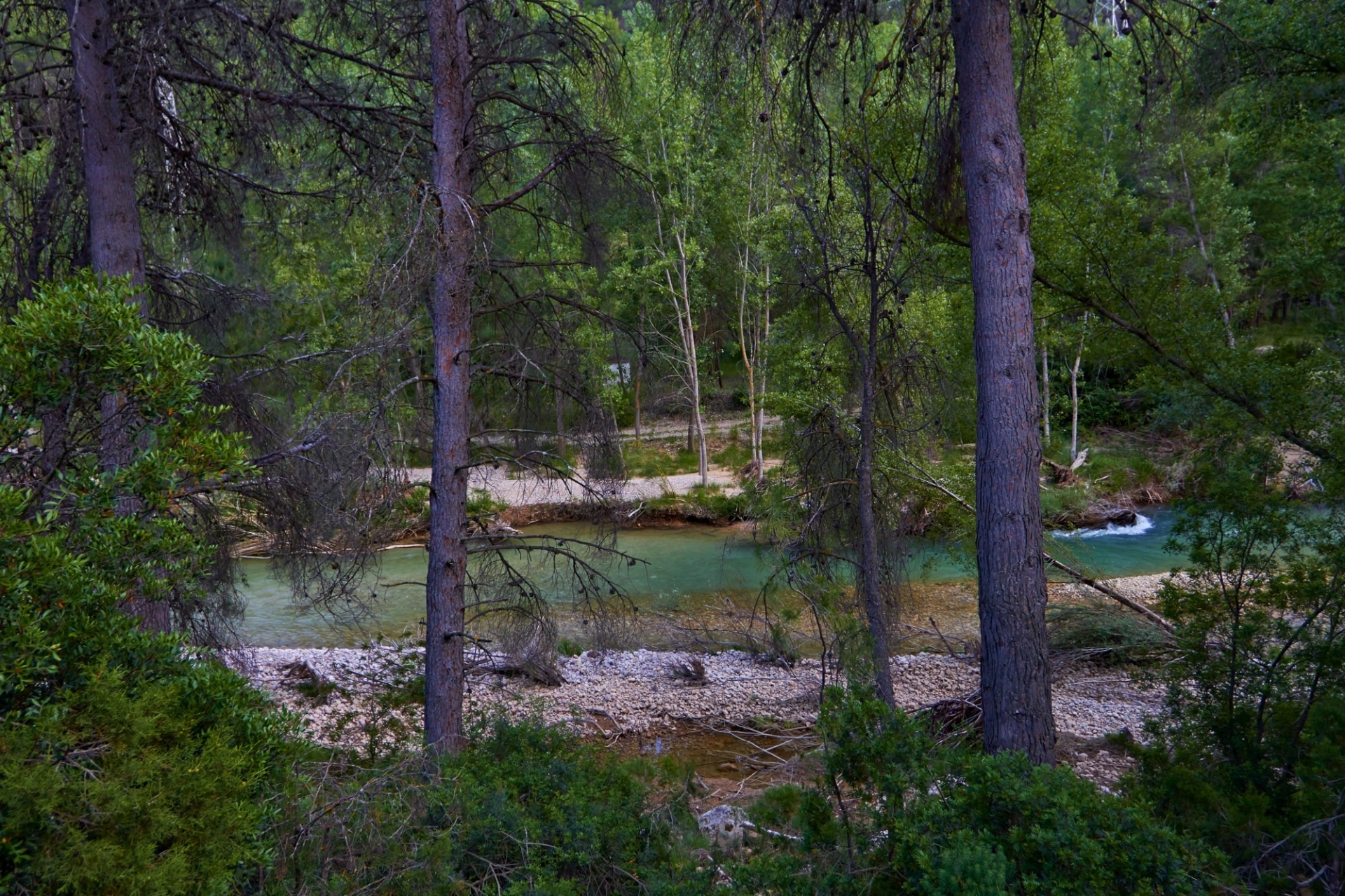 Camping Río Segura