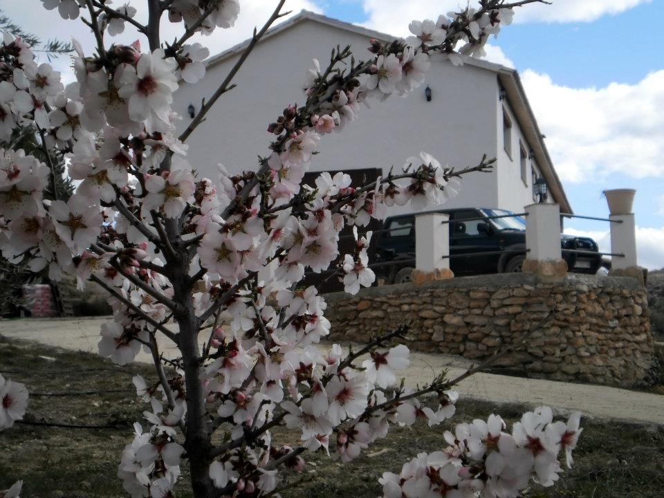 Restaurante la Zorrera