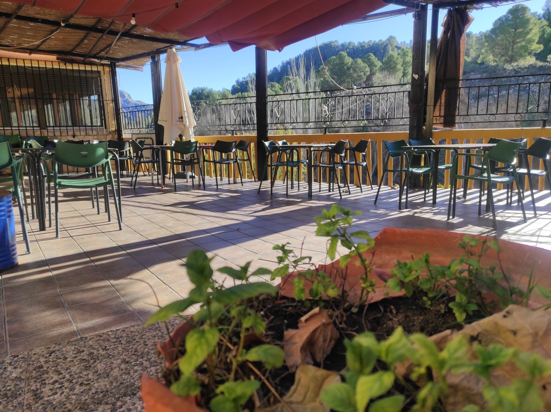 Restaurante R&iacute;o Segura Terraza