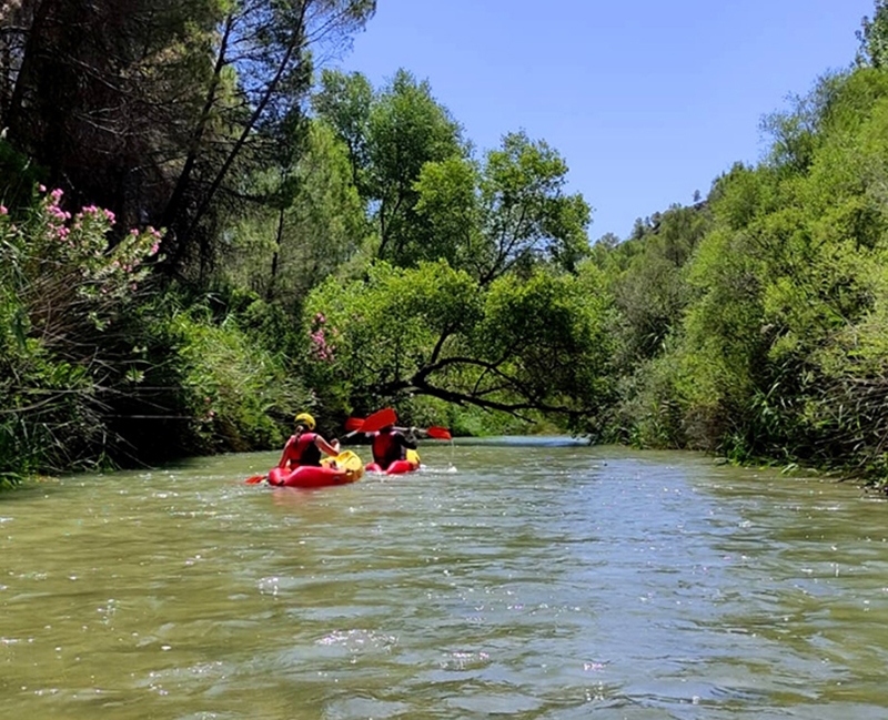 Descenso en Kayak por el río Segura descenso kayak