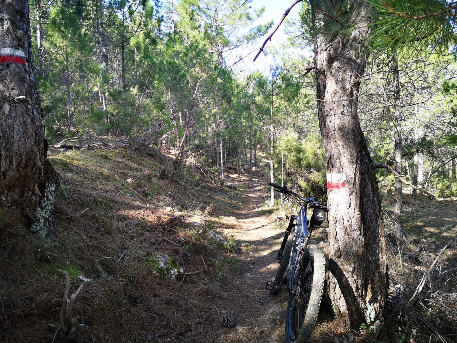 Disfruta en ebike del Valle de Tus