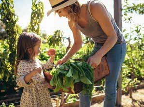 Cultivando un huerto ecológico