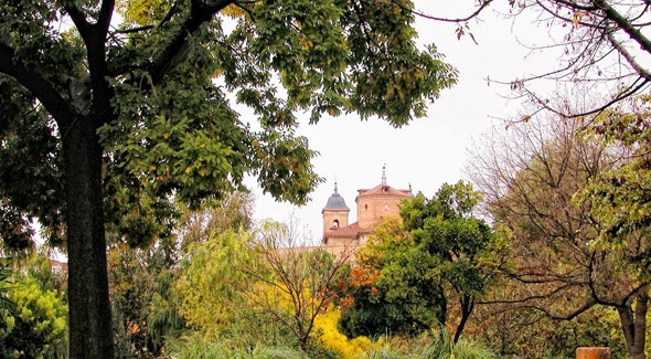 Elche de la Sierra