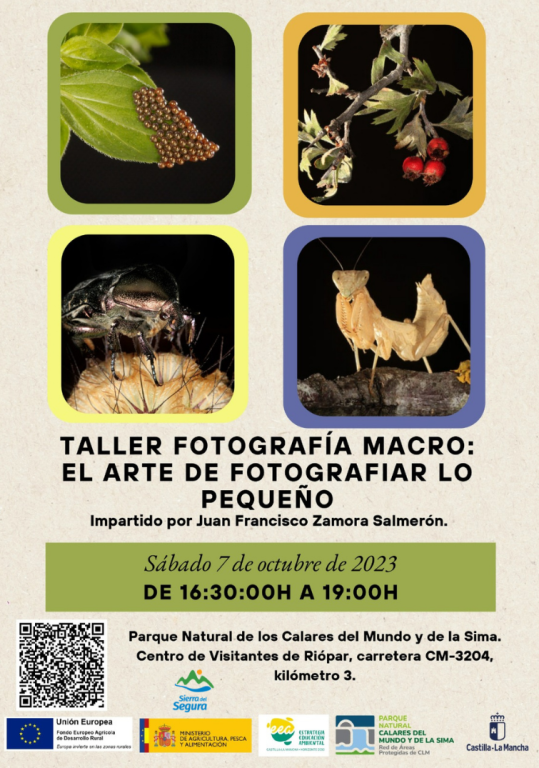 Taller Fotografía Macro