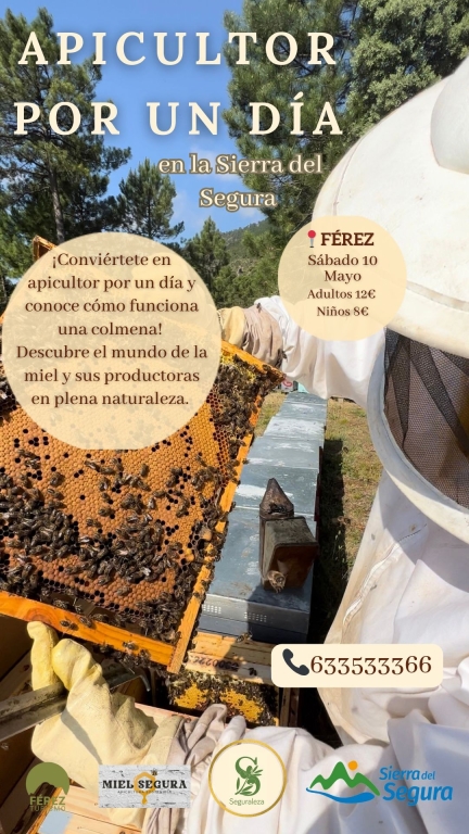 Apicultor por un día