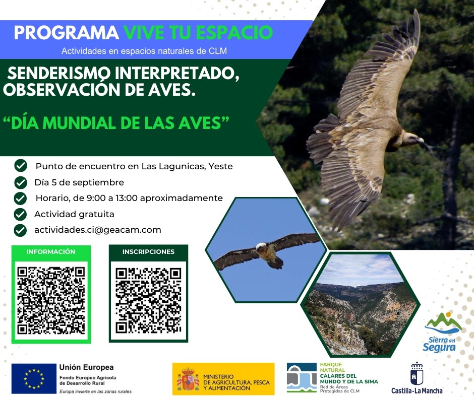 Avistamiento de aves