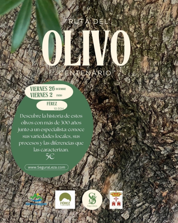 Ruta del olivo centenadio